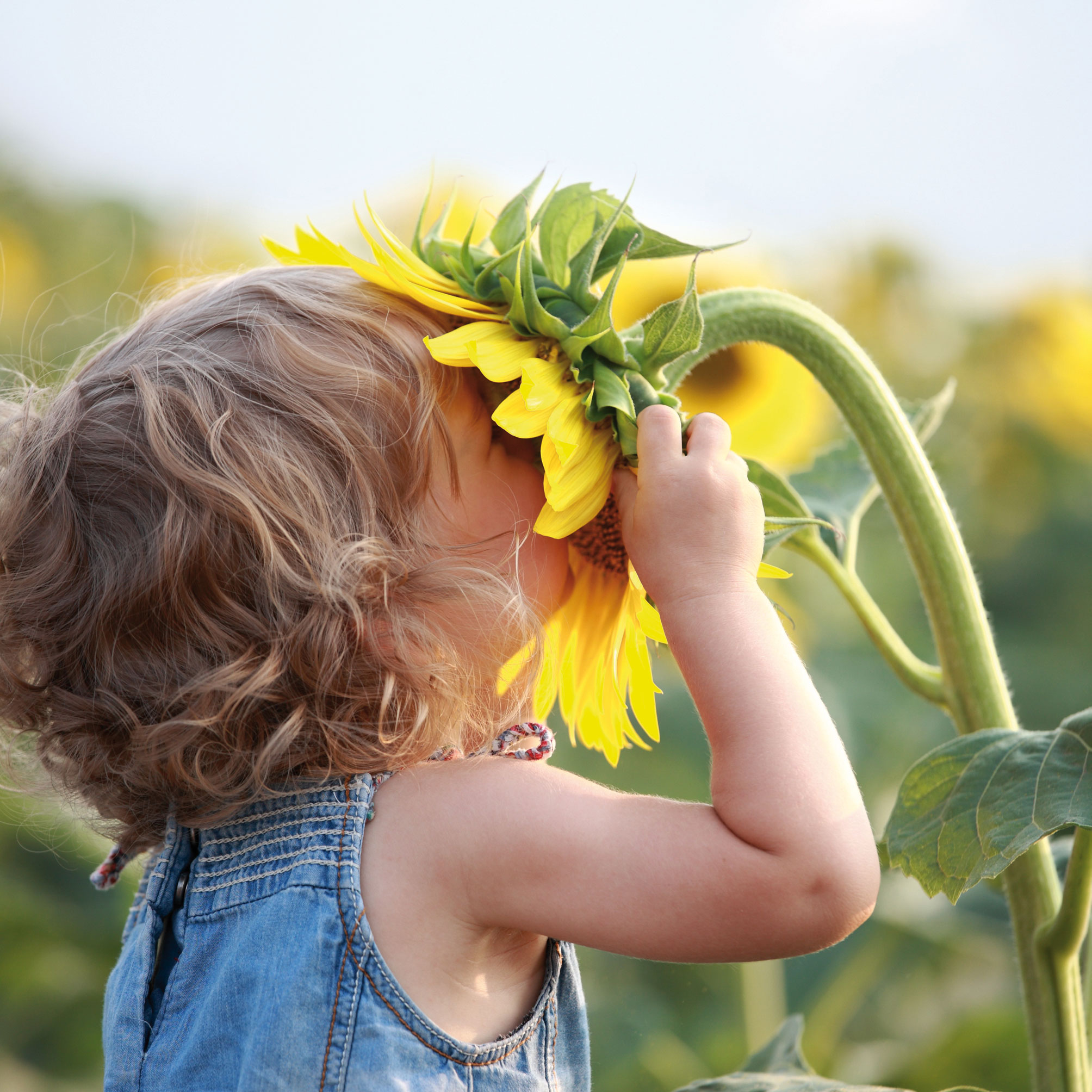 Kind-mit-Sonnenblume_Titel-Sommer-2016