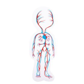 IMG70260091_6016 Körperpuzzle Mädchen-image