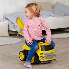 IMG101443_27899 BIG-Power-Worker Maxi Kran-image