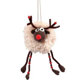 IMG78404_12142 Pompon Schablonen, 12 Stk.-image