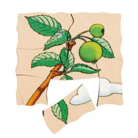 IMG70260097_5903 Lagenpuzzle Apfel-image