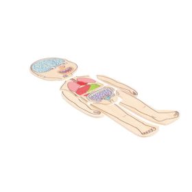 IMG70260091_6003 Körperpuzzle Mädchen-image