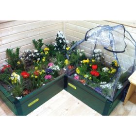 IMG84111_8834 Pflanzenbeet, 75 x 75 x 28 cm-image
