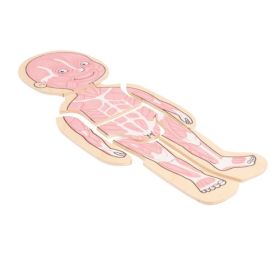 IMG70260092_6031 Körperpuzzle Junge-image