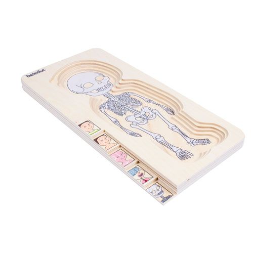 IMG70260092_6042 Körperpuzzle Junge-image