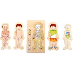 IMG70878015_14460 Schichtenpuzzle Anatomie Junge-image