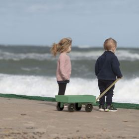 IMG101768_27907 Ziehkarre - Blue MarineToys-image