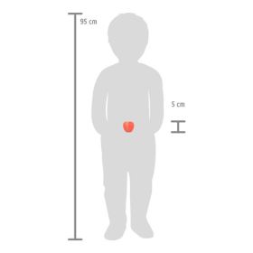 IMG101656_27652 Schneide-Set Obst fresh-image