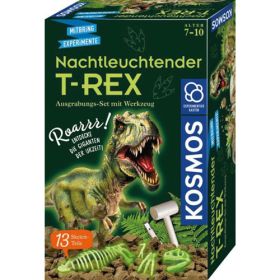 IMG101464_27450 Kosmos Nachtleuchtender T-REX-image