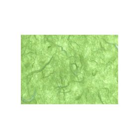 Strohseide, 25g/m², 47 x 64 cm, 10 Bogen, Einzelfarben nach Wahl-image