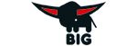 BIG