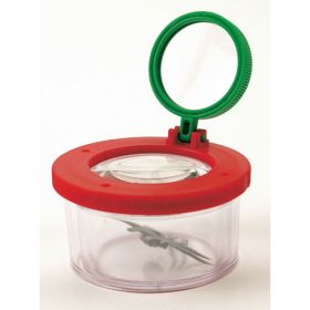 IMG99142_25056 Lupendose-image