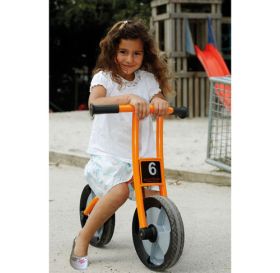 IMG70910006_16701 BikeRunner aktiv-image