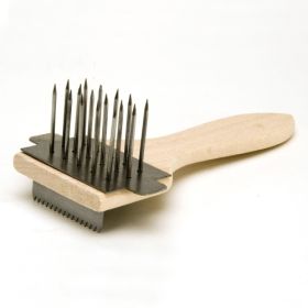 IMG63504_5219 Besenkamm-image