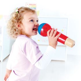 IMG70260008_20042 Echo-Mikrofon-image