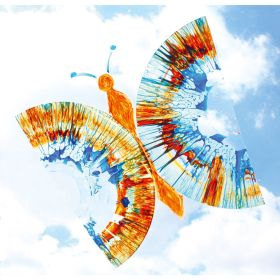 IMG102377_29943 Folien-Set für Farbschleuder, 50 Stk.-image