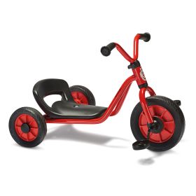IMG103119_32737 WINTHER Mini Viking Easy Rider-image