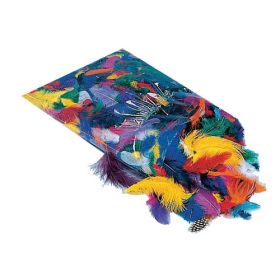IMG78070_12369 Bunte Federmischung, 100g / Beutel-image
