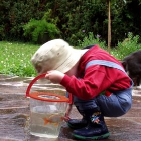 IMG82744_5397 Riesenbecher-Lupe-image