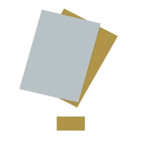 IMG78140_24631 Bastelkarton glatt, 220g. gold oder silber-image