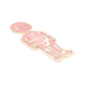 IMG70260091_6007 Körperpuzzle Mädchen-image