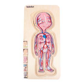 IMG70260092_6030 Körperpuzzle Junge-image