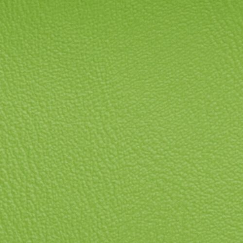 PS-KLBS16 Apfelgrün