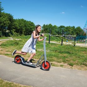 IMG101947_28469 VIKING StarScooter Maxi Chrom-image