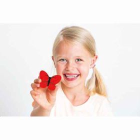 IMG101756_27409 Betty Fly-image