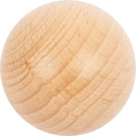 IMG101659_27687 Holzbausteine Regenbogen Safari-image