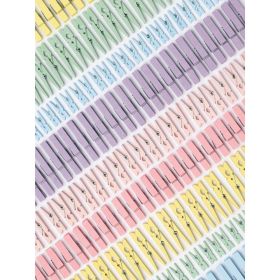 IMG103114_32718 Holzklammern pastel Jumbo-Packung, 500 g-image