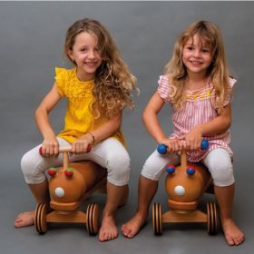 IMG101875_28461 DYNAMIKO Rutsch - Raupe-image