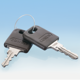 Ersatzschlüssel (2 Stück) (keine Standard-Schließung 310)-image