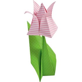 IMG78421_12245 Faltblätter Basic Intensiv, 15 x 15 cm, 50 Blatt-image