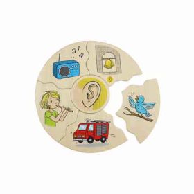 IMG101715_27284 Humanico 5 Sinne-image