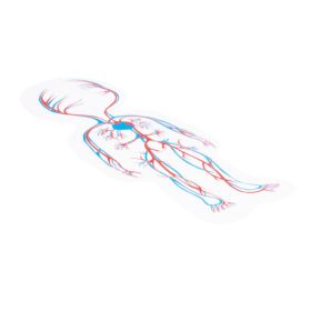 IMG70260092_6040 Körperpuzzle Junge-image