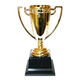 IMG84105_5076 Pokal, H 19 cm-image