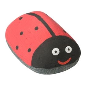 IMG77970_24528 Dacta-Color, 1000 ml-image