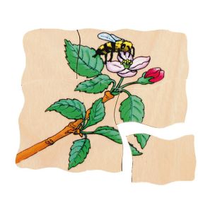 IMG70260097_5904 Lagenpuzzle Apfel-image