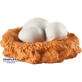Lebenszyklen Huhn-image
