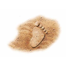 IMG82842_23599 Mini Eimer babyfoot-image