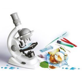 Galileo - Natur unter dem Mikroskop-image