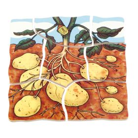 IMG70260096_5922 Lagenpuzzle Kartoffel-image