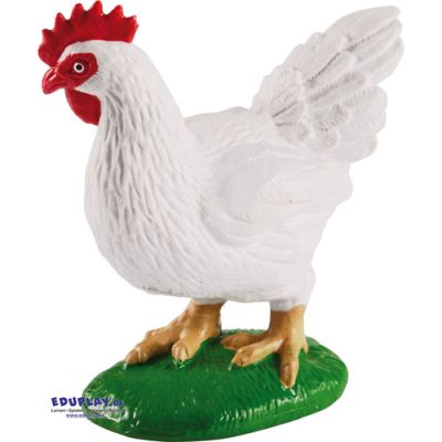 Lebenszyklen Huhn-image
