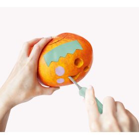 IMG102632_30964 Kürbisschnitzer-Set-image