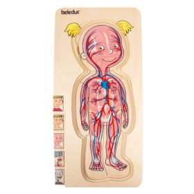 IMG70260091_6006 Körperpuzzle Mädchen-image