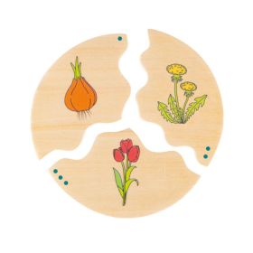 IMG70260105_3193 NAWITO Entwicklung-image