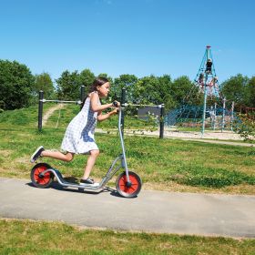 IMG101947_28468 VIKING StarScooter Maxi Chrom-image