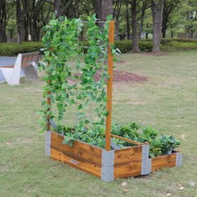 IMG102220_29393 Mehrstufiges Hochbett mit Rankgitter-image