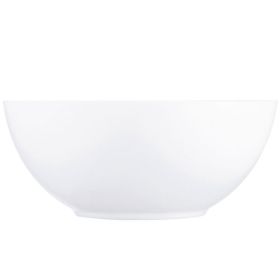 IMG97310_19596 Schale Evolution, 18 cm-image
